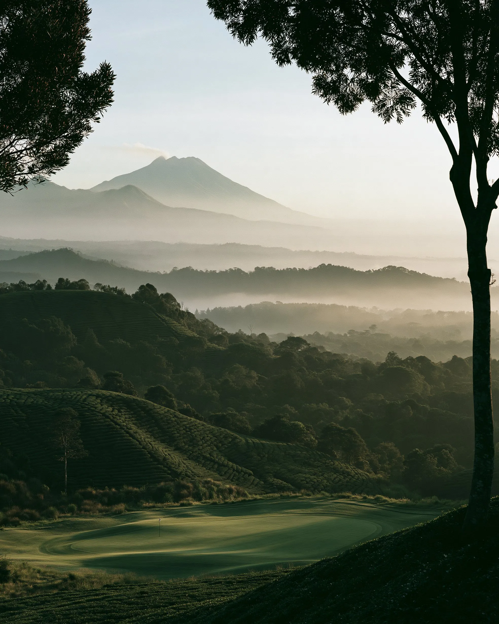 Lapangan golf dataran tinggi di Jawa dengan kebun teh dan gunung berapi