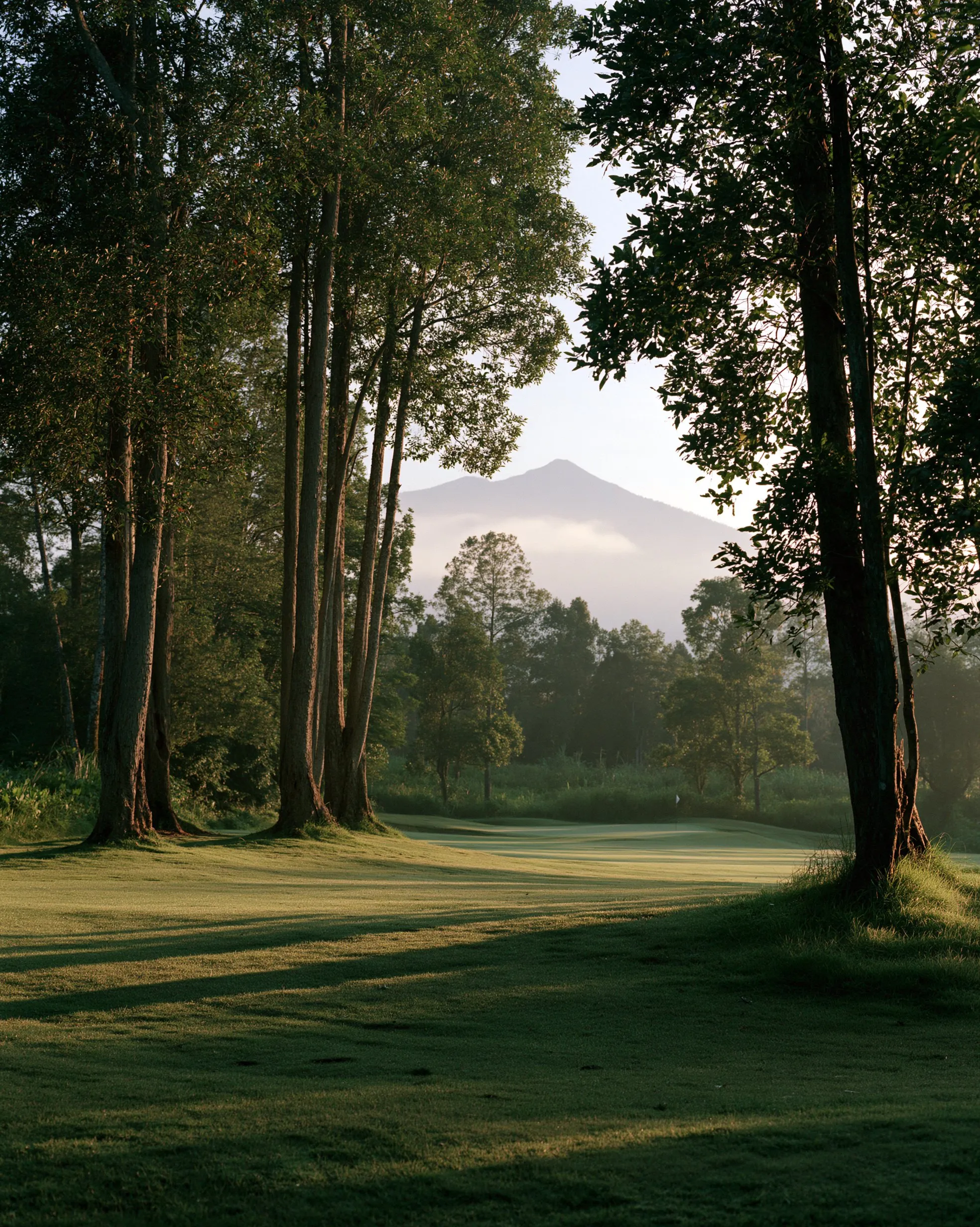 Lapangan golf di Sumatra Utara saat fajar dengan gunung berapi berkabut